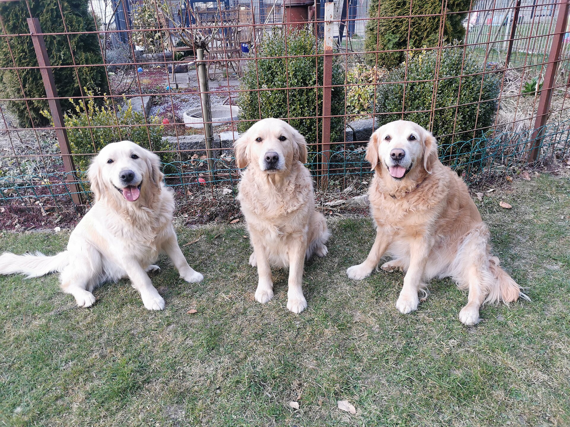 Von Links Mutter Ladina, Grosi Navin und Urgrosi Angie